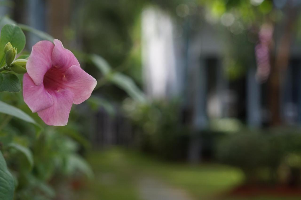 Phu Quoc Hotel Esterno foto